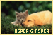  ASPCA and NSPCA